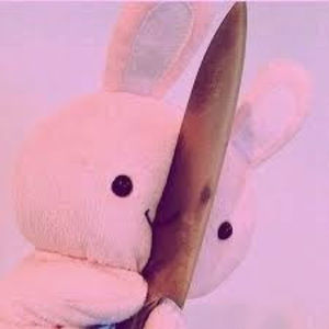 Meet your Posher, Zoe